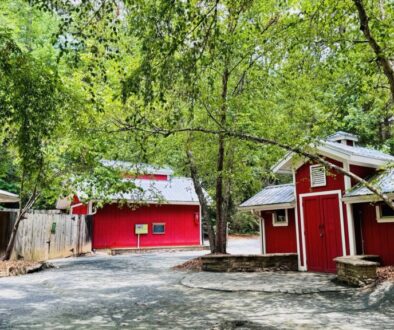 Museum of Life and Sciences